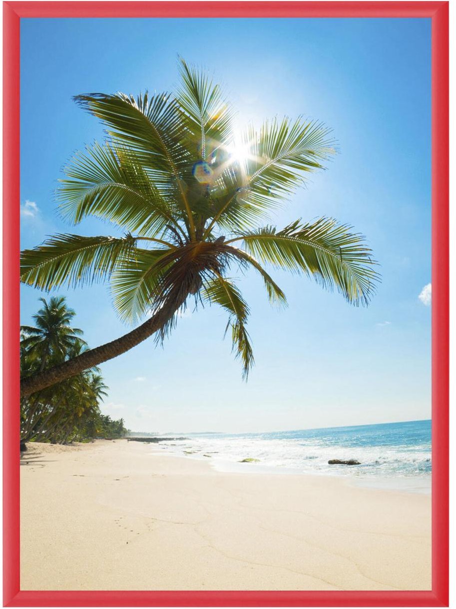 Showdown® Displays Klapprahmen 45,1 x 62,5 cm rot