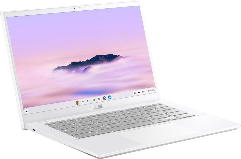0 ASUS Chromebook CX3 CX3402CVA-MW0349 Intel® Core™ i7-1355U