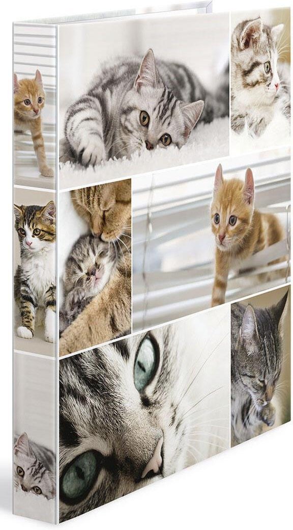 HERMA Ringbuch 2-Ringe DIN A4 3.5 cm Motiv