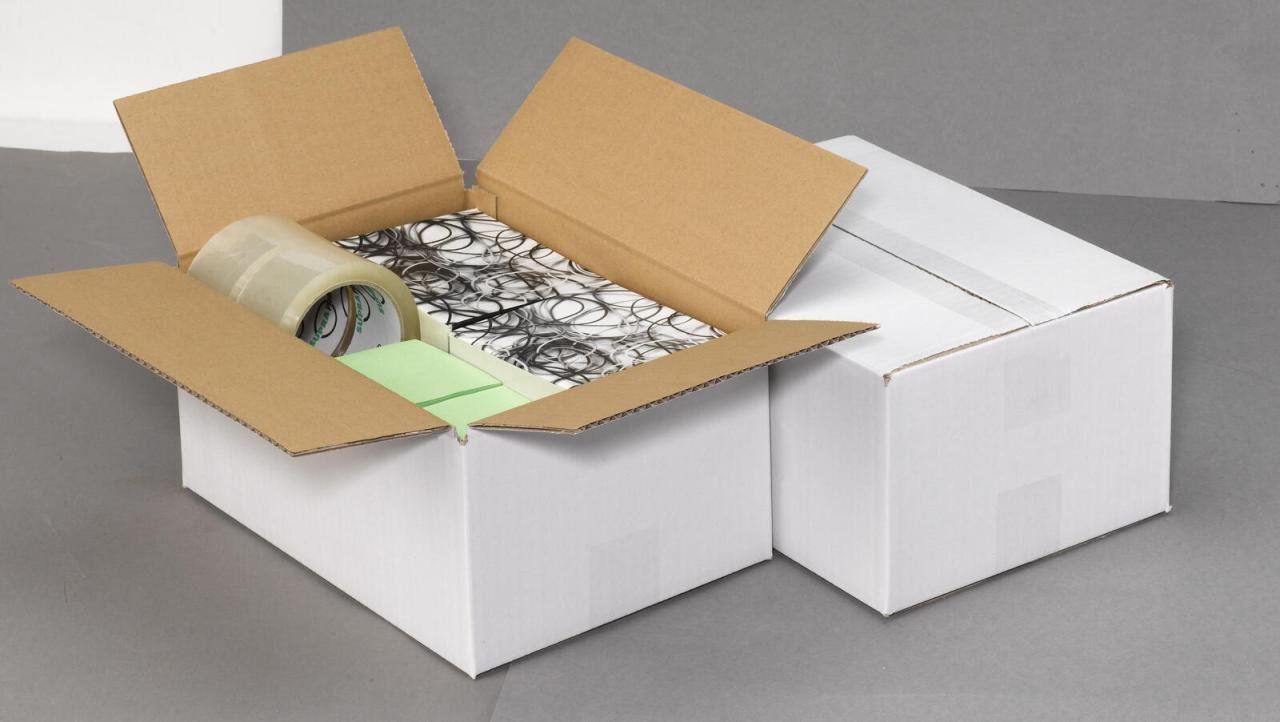 Nestler Wellpapp-Faltkartons 1-wellig weiß 30,5 x 21,5 x 14,0 cm