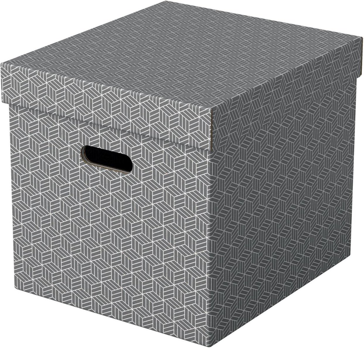 Esselte Aufbewahrungsboxen Home 33,0 l - 32,0 x 36,5 x 31,5 cm grau