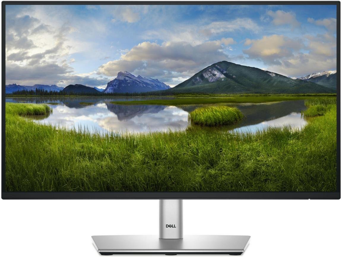0 Dell P2225H Monitor (21,5 Zoll) 54,5cm