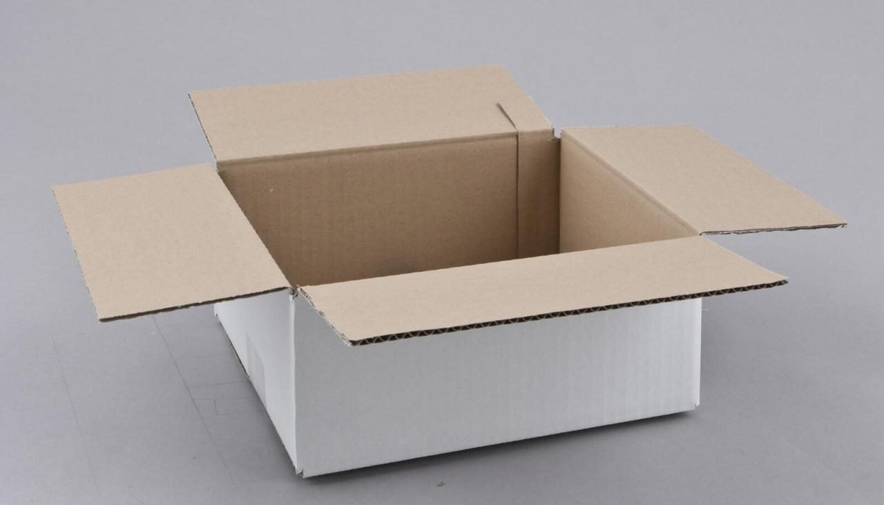 Nestler Wellpapp-Faltkartons 1-wellig weiß 26,0 x 22,0 x 10,0 cm