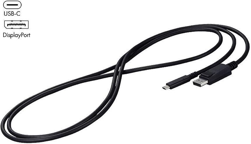 EIZO CP200-BK USB-C zu DisplayPort-Anschlusskabel