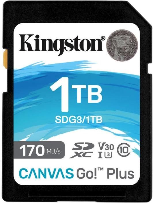 Kingston Canvas Go Plus Speicherkarte 1 TB