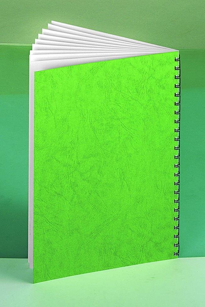RENZ Rückwände für Bindemappen DIN A4 250 g/qm grün