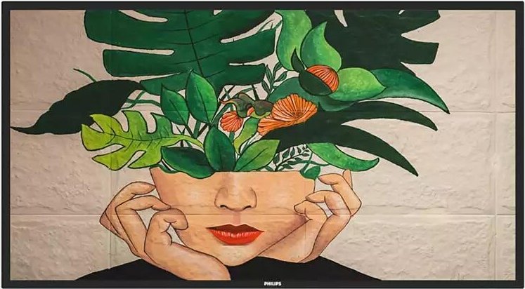 Philips 50BDL4550D Signage Display 127 cm (50 Zoll)