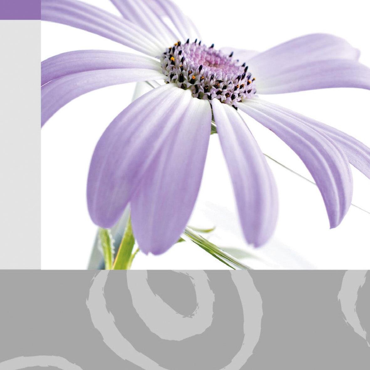 SIGEL Grußkarten Emotion DIN A6