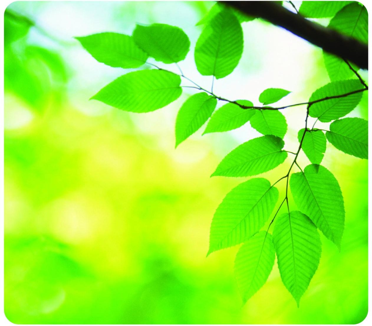 Fellowes Mousepad Blätter