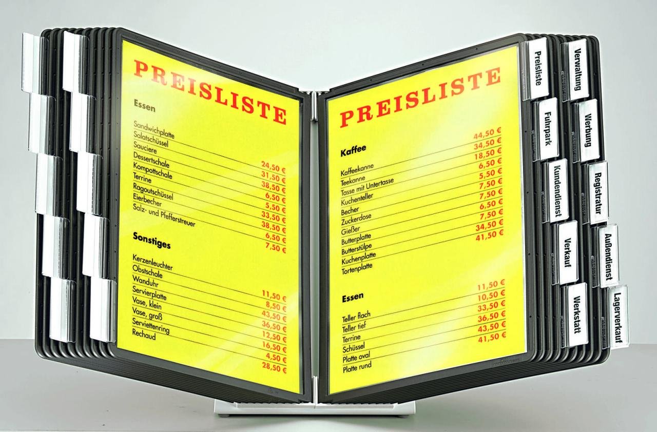 DURABLE VARIO Sichttafelsystem DIN A4