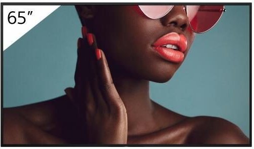 Sony Bravia FW-65BZ40L Professional Display 165cm (65")