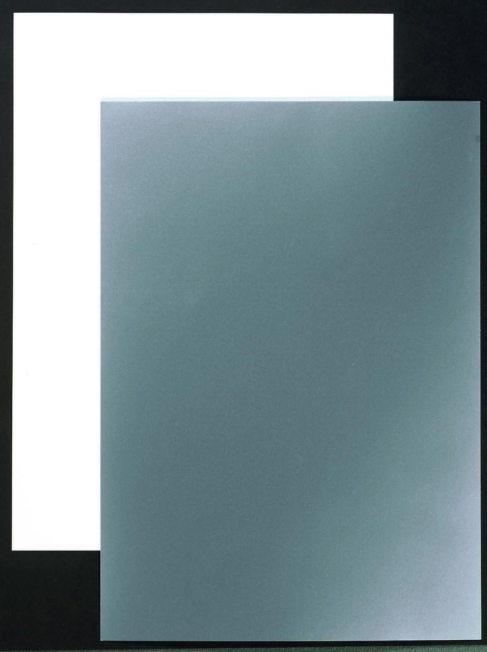 RENZ Rückwände für Bindemappen DIN A4 250 g/qm silber/weiß