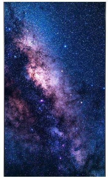 LG 55EF5K-P Digital Signage Flexible Curved Open Frame OLED Display 140 cm 55 Zoll