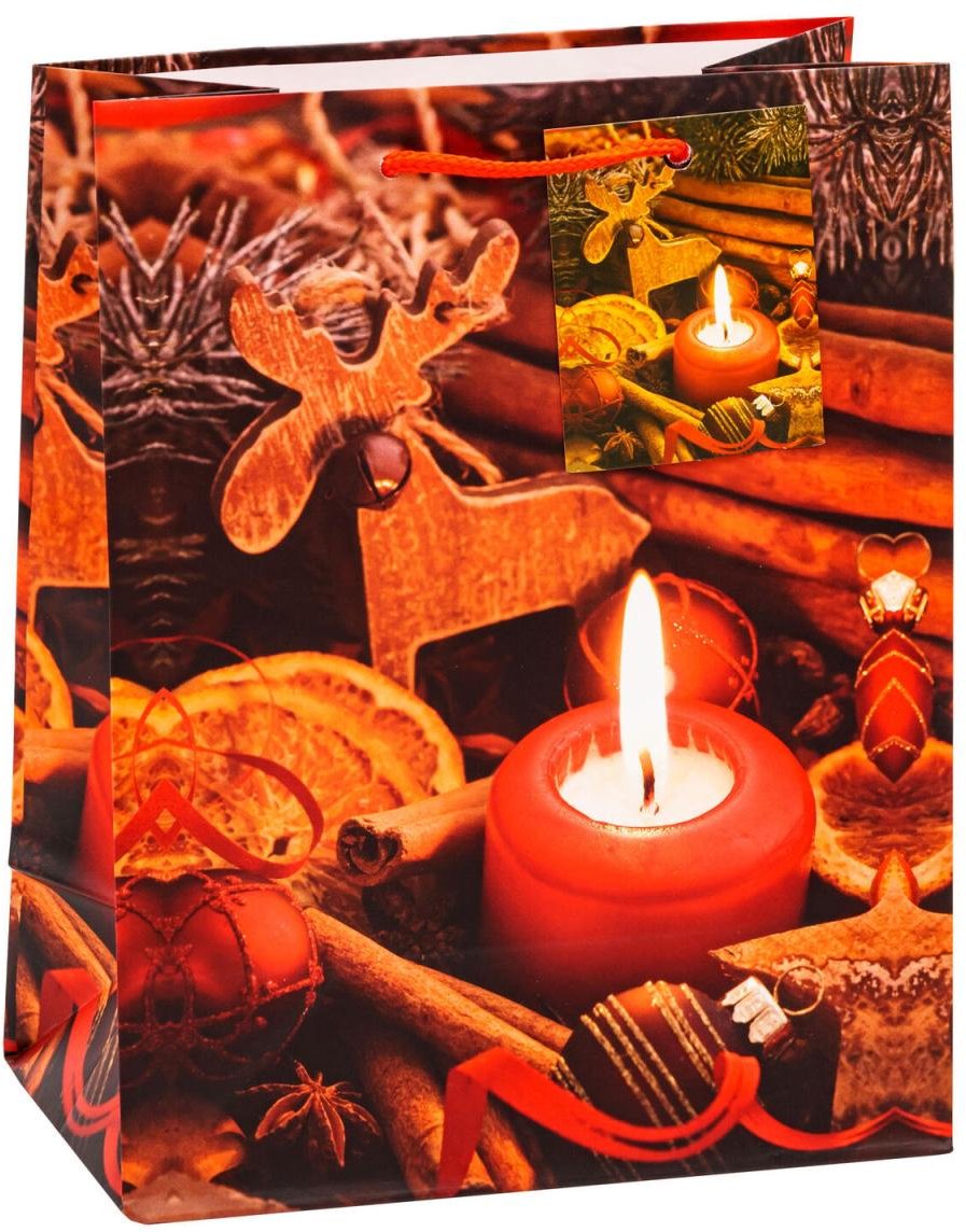 TSI Geschenktaschen 18,0 x 23,0 cm Motiv sortiert