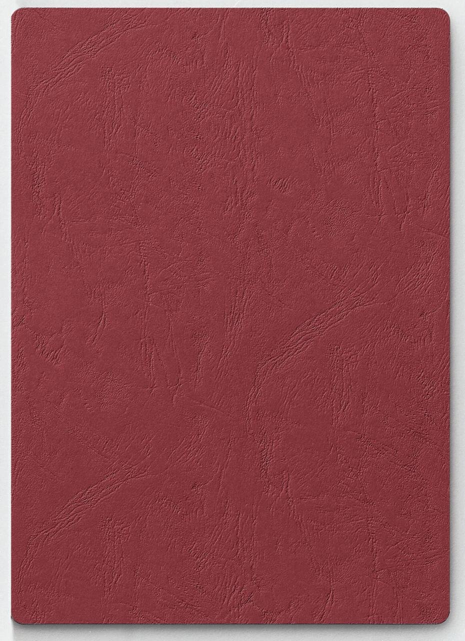 PAGNA Bewerbungsmappen Sprint DIN A4 rot