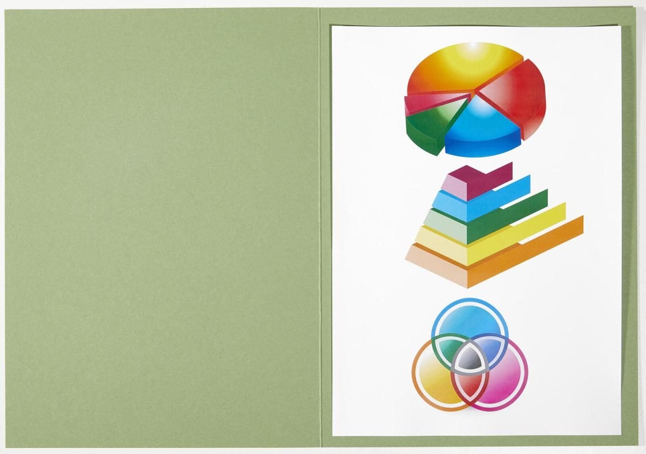 ELBA Aktendeckel DIN A4 grün