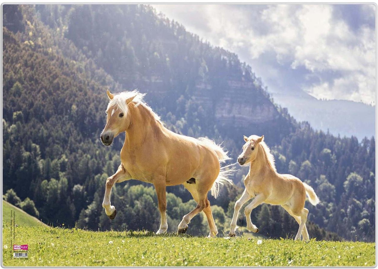 VELOFLEX Schreibtischunterlage 50,0 x 35,0 cm Pferde