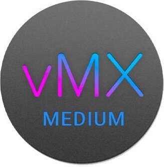 Cisco Lizenz VMX Enterprise M 3 Jahre