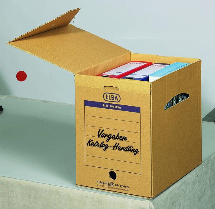 ELBA Archivboxen für lose Dokumente 24,0 x 34,1 x 31,5 cm