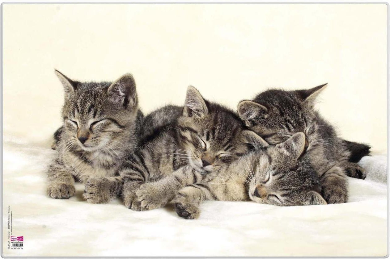 VELOFLEX Schreibtischunterlage 50,0 x 35,0 cm Katzen