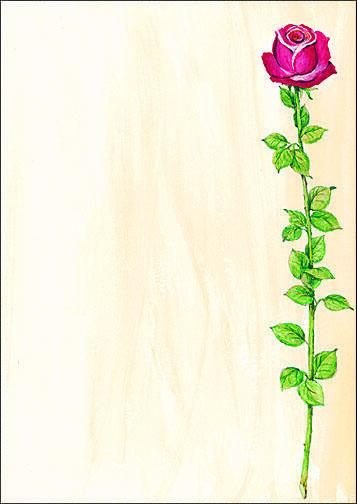 SIGEL Rose Bloom Motivpapier DIN A4 90 g/m²