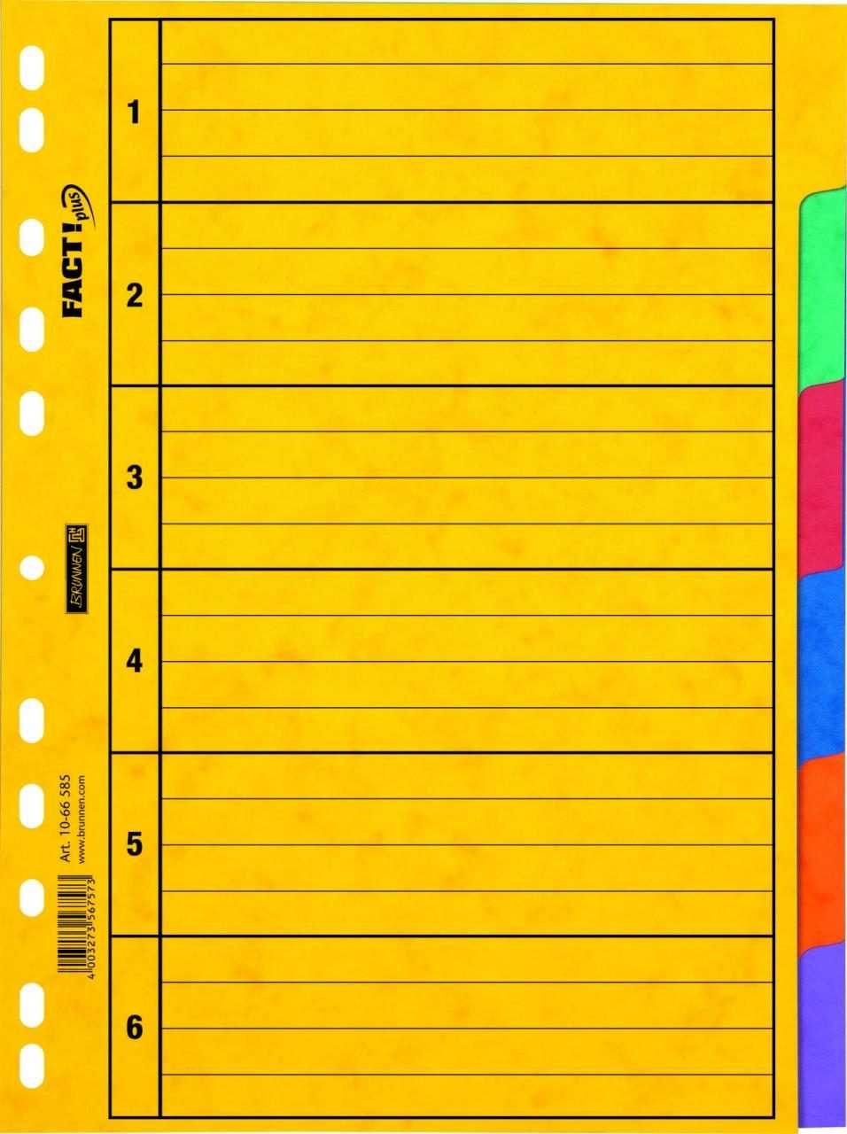 BRUNNEN Ordnerregister Vollformat blanko DIN A4