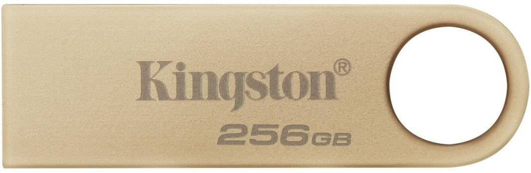 Kingston Technology DataTraveler SE9 G3 USB-Stick - 256 GB