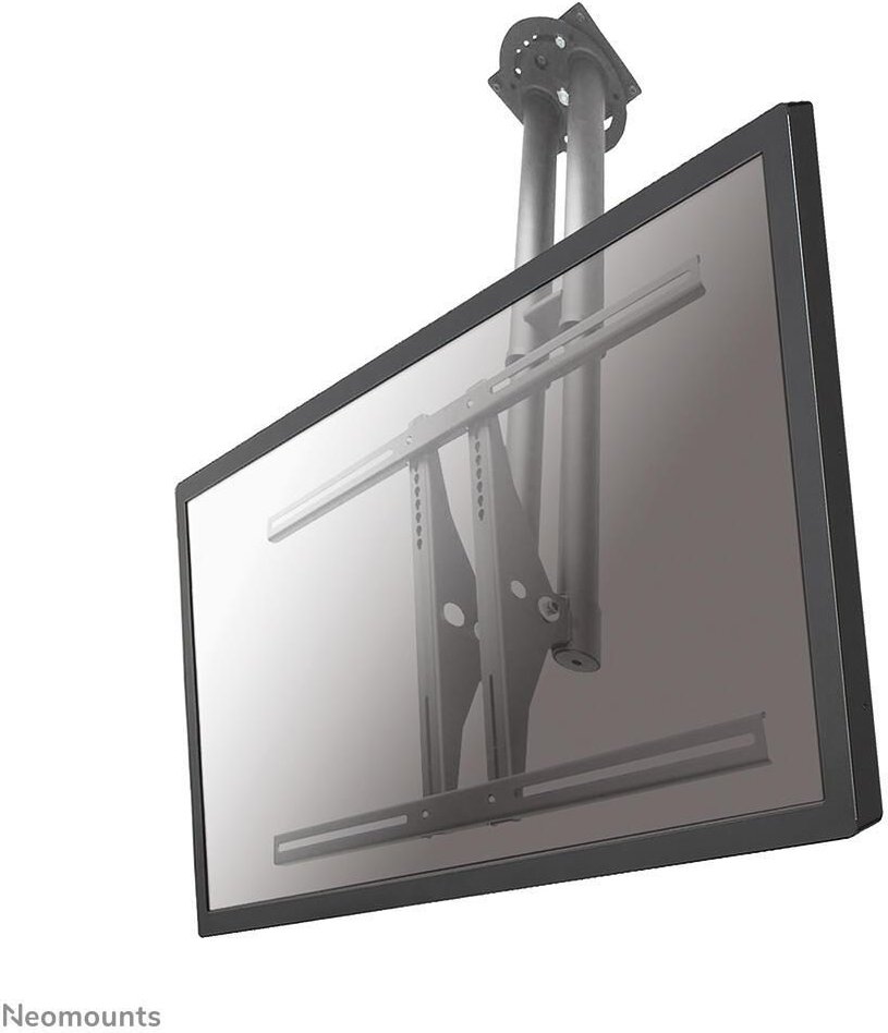 Neomounts PLASMA-C100 Deckenhalterung