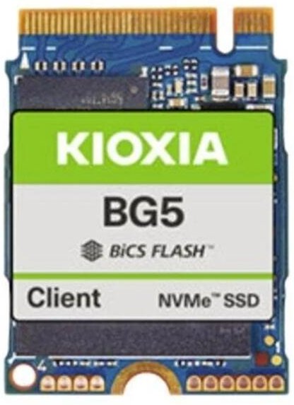 KIOXIA BG5 Client SSD 1TB, M.2 2230-S3