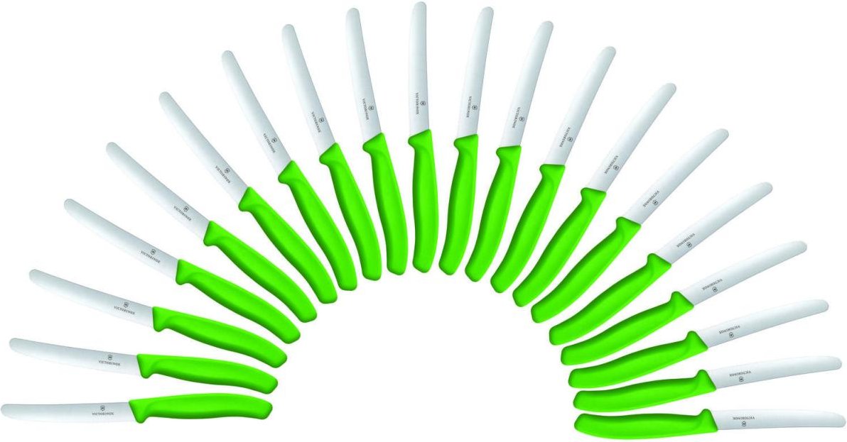 VICTORINOX Gemüsemesser Swiss Classic silber, grün