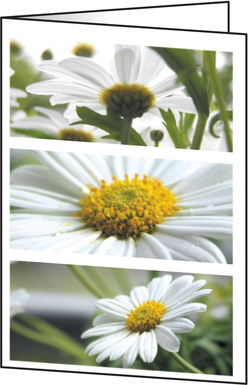 SIGEL Grußkarten Romance DIN A6