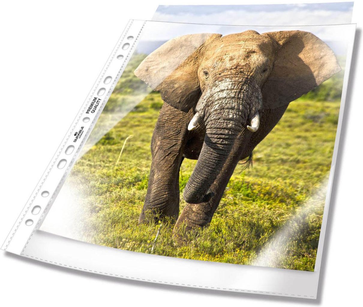 Thumbnail - DURABLE Prospekthüllen DIN A4 überbreit 0.08 mm glasklar