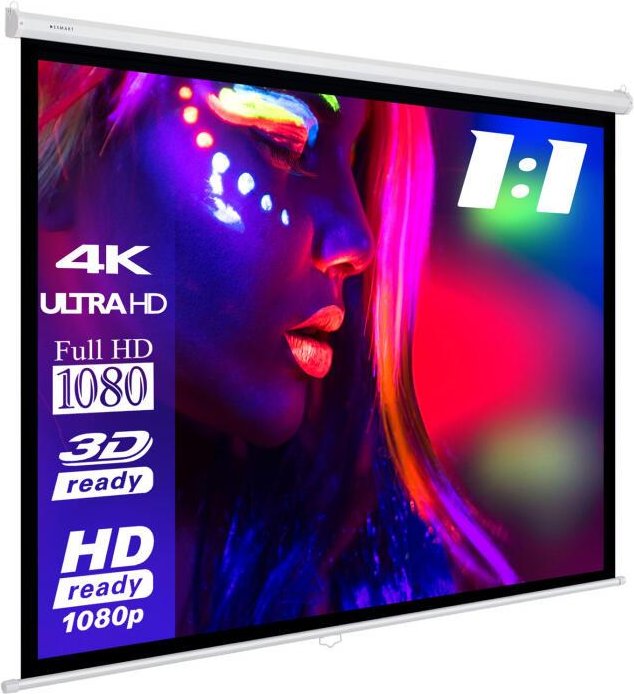 eSmart Economy EXR Rollo Leinwand 200 x 200 cm (111") 1:1