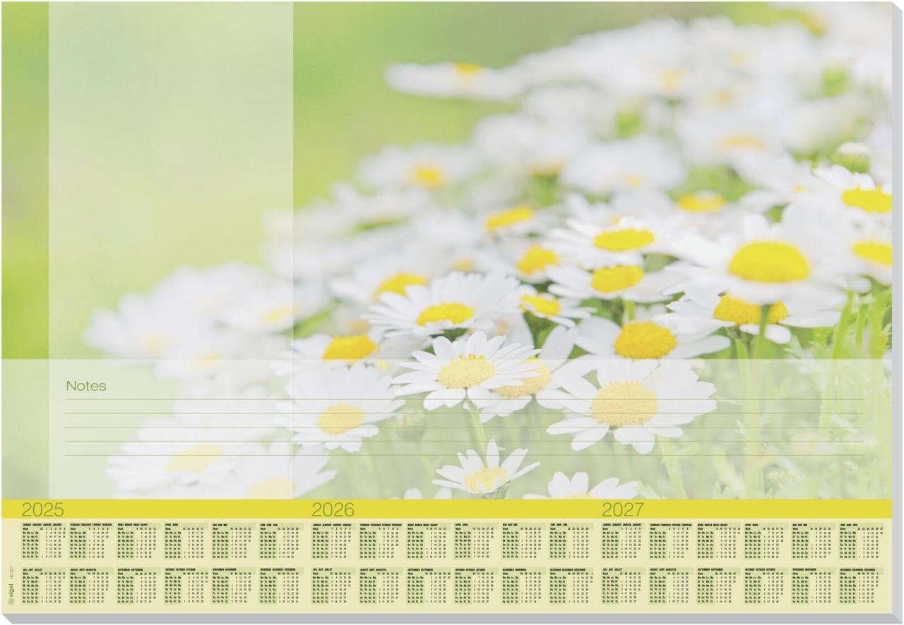 SIGEL Schreibtischunterlage 59,5 x 41,0 cm grün/weiß