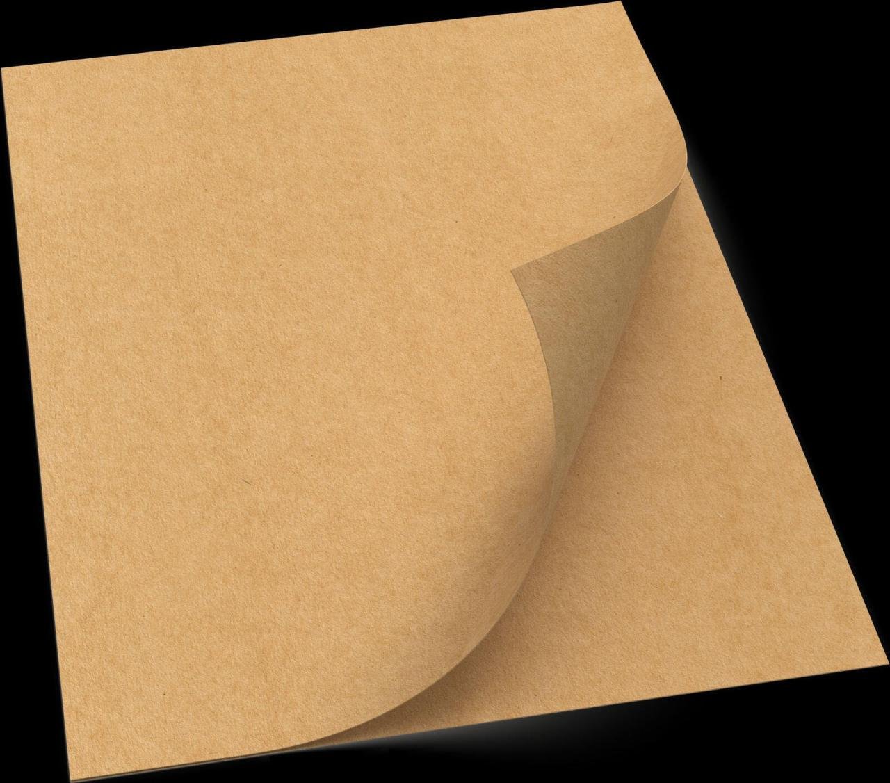 RENZ Rückwände für Bindemappen DIN A4 300 g/qm naturbraun