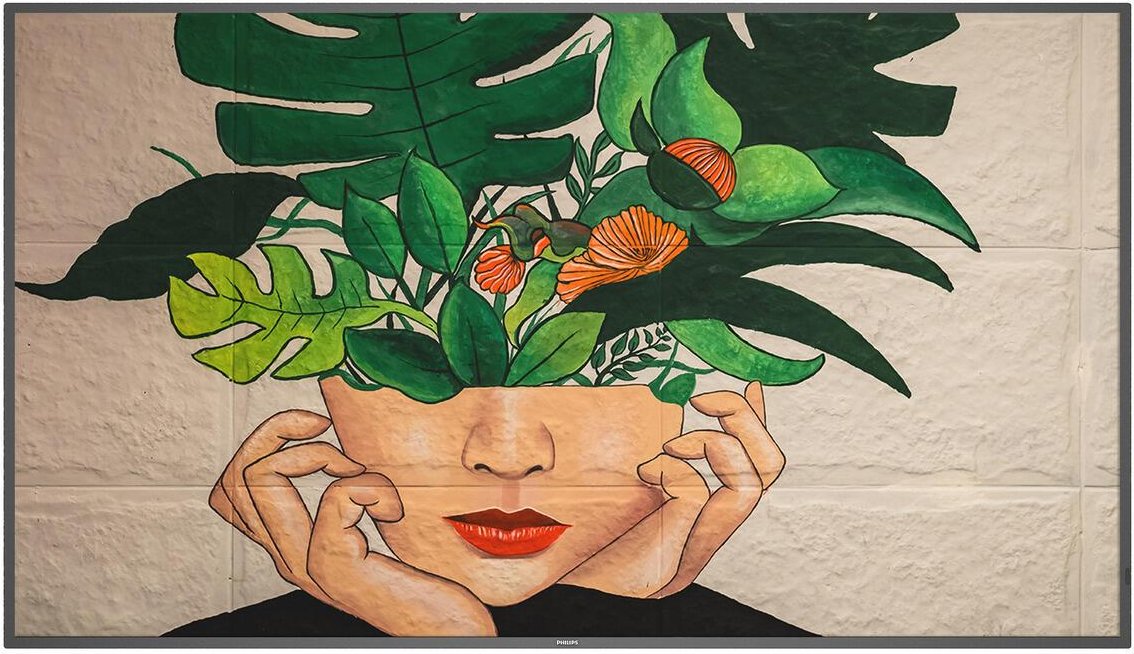 Philips 65BDL4511D/00 Digital Signage Display 165 cm (65 Zoll)