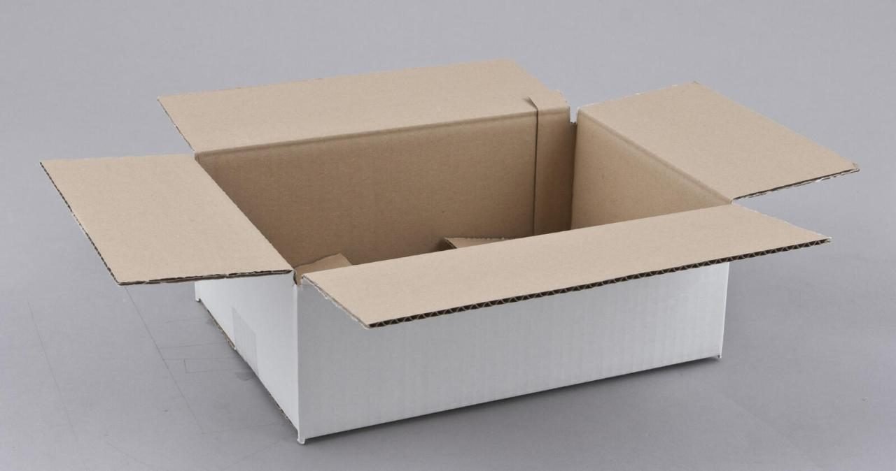 Nestler Wellpapp-Faltkartons 1-wellig weiß 30,5 x 21,5 x 10,0 cm