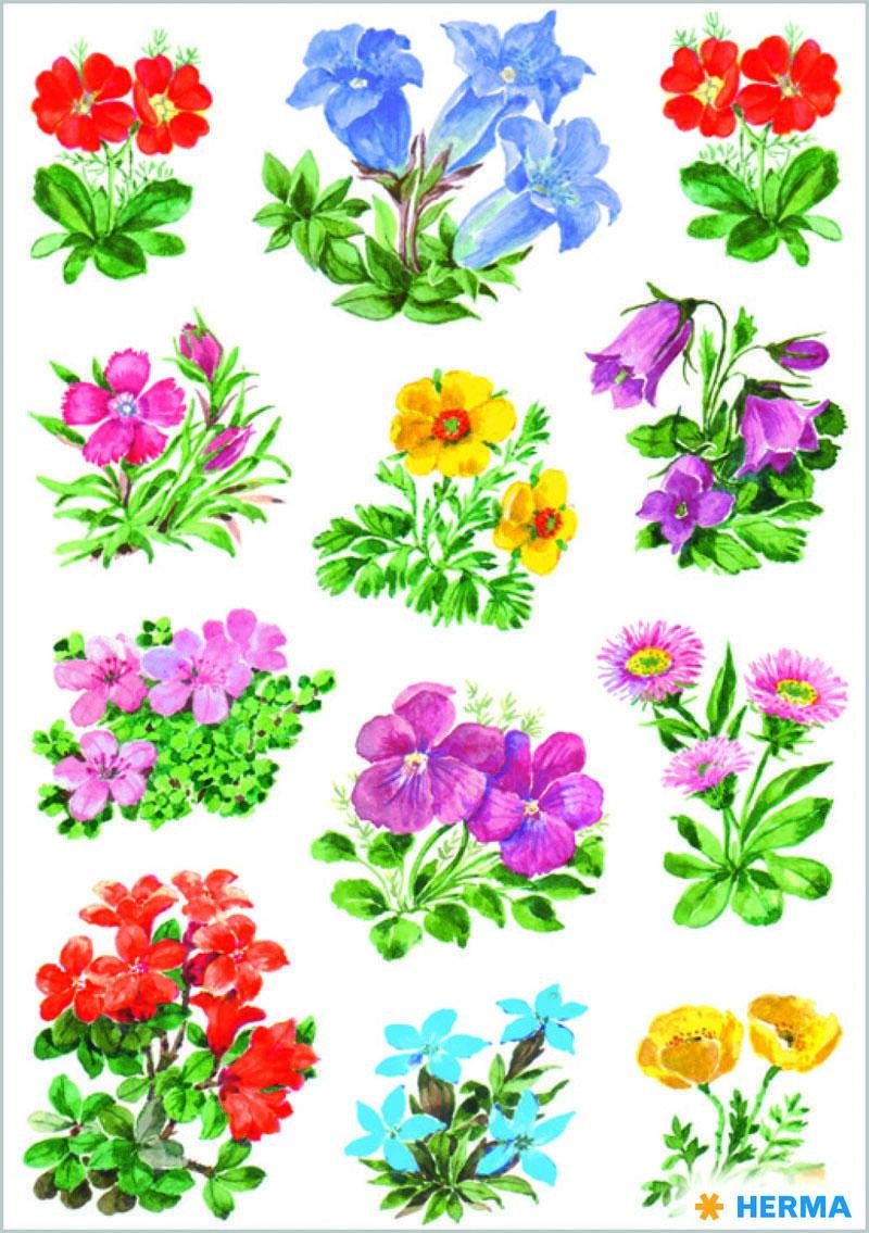 Thumbnail - HERMA Aufkleber Blumen