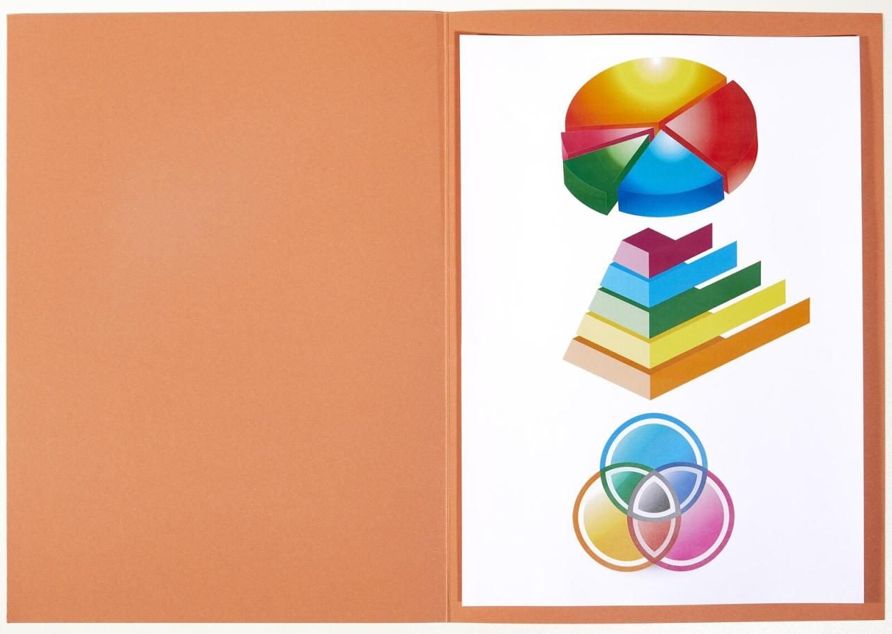 ELBA Aktendeckel DIN A4 orange