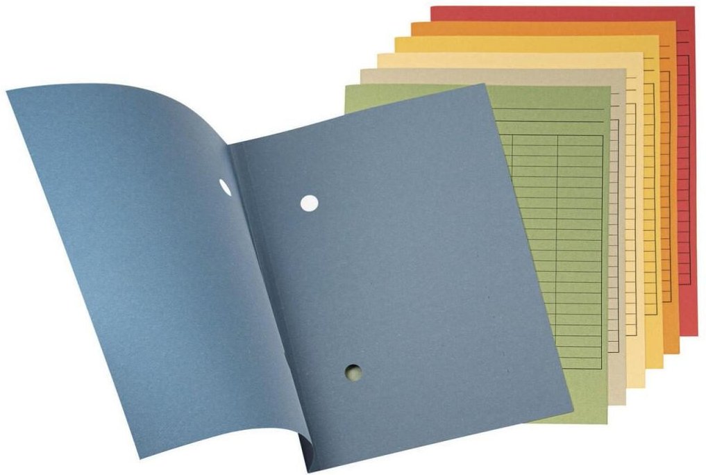 FALKEN Sammelmappe Forever DIN A4 orange