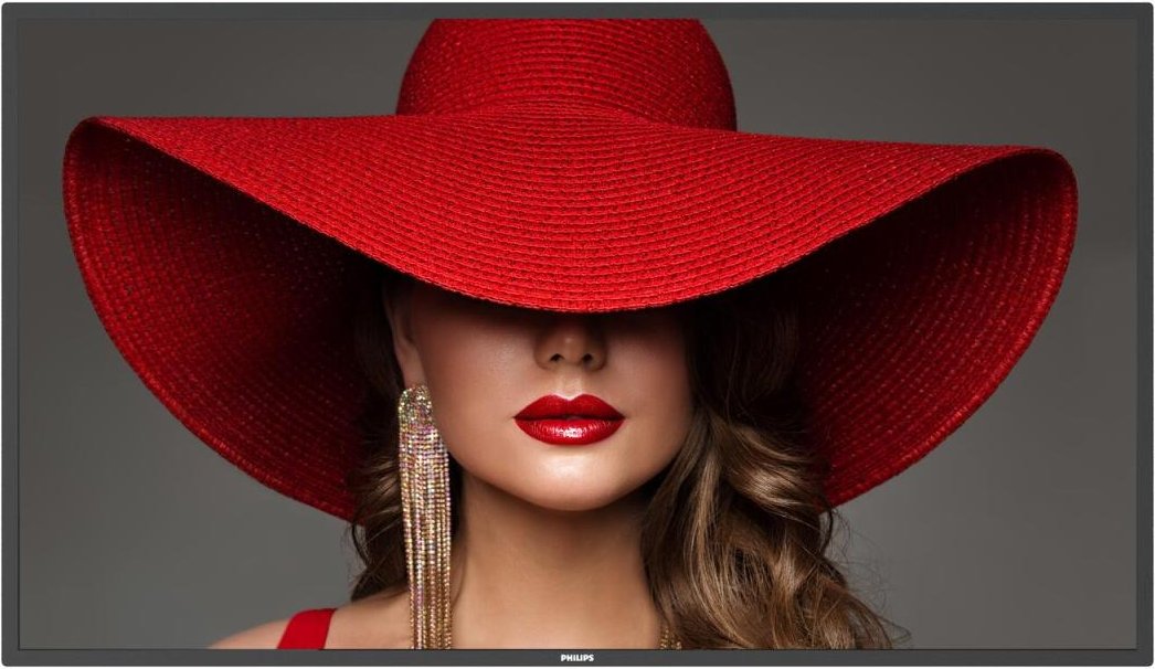 Philips D-Line 43BDL4650D Sigange Display 108cm (42.5 Zoll)