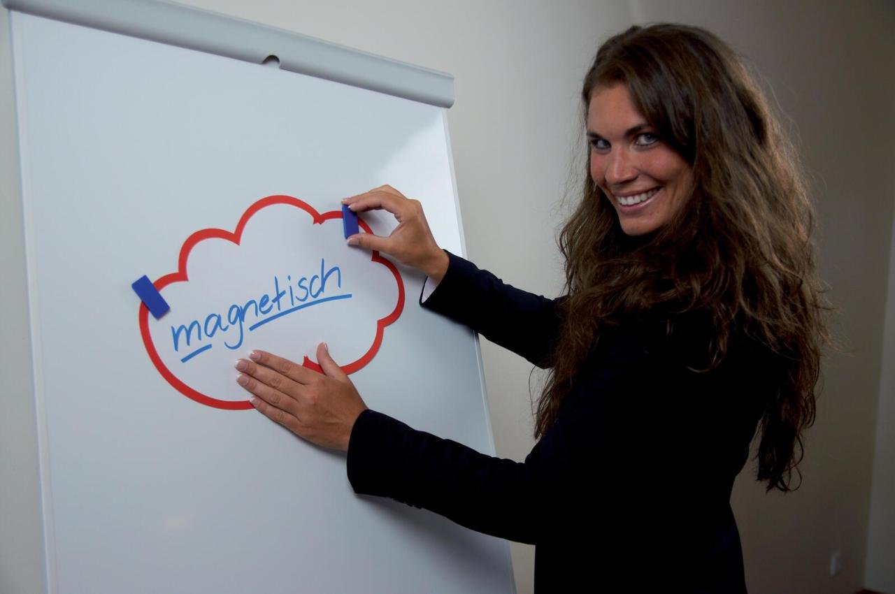 Thumbnail - FRANKEN Magnet 2,3 x 5,0 blau