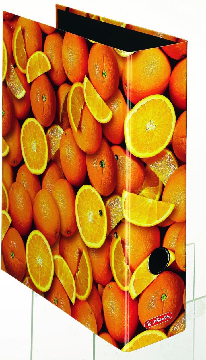 herlitz Motivordner Rückenbreite 8 cm DIN A4 Karton Motiv