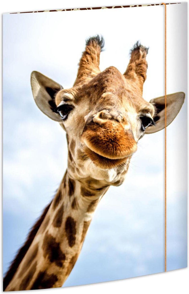 Thumbnail - RNK-Verlag Zeichenmappe A3 Safari