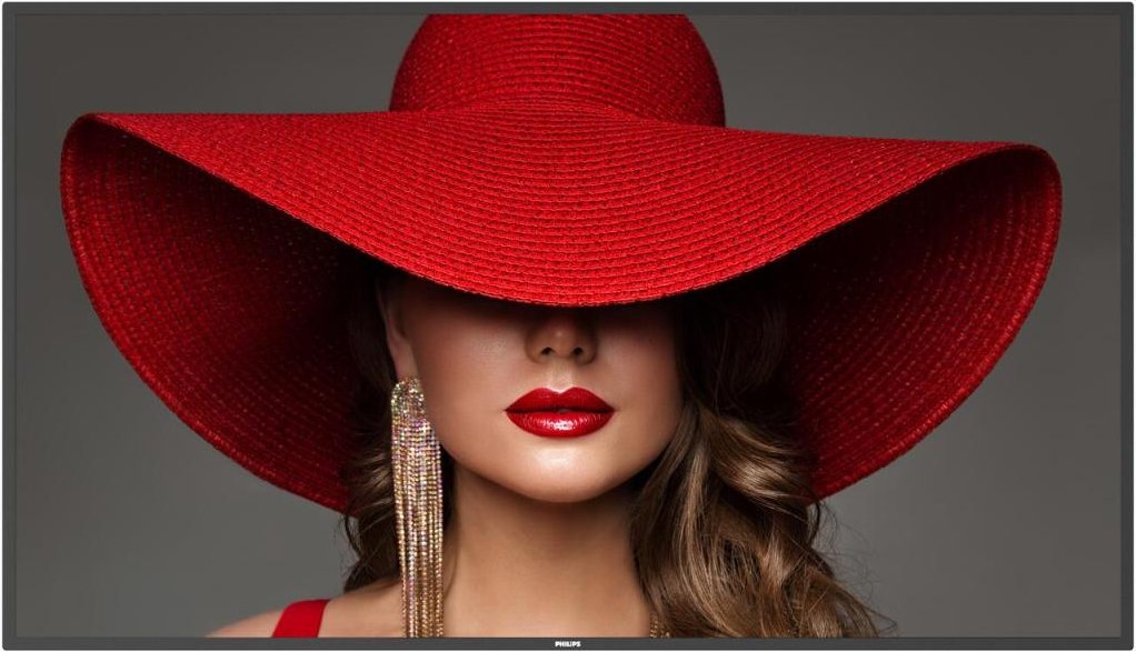 Philips D-Line 55BDL4650D Signage Display 138.7cm (54.6 Zoll)