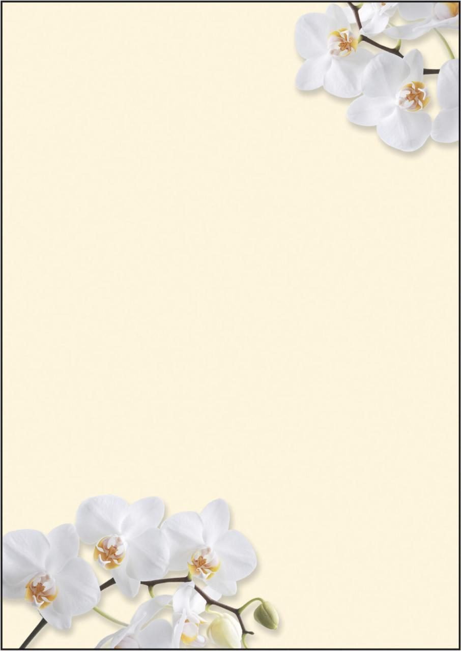SIGEL White Orchid Motivpapier DIN A4 90 g/m²