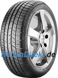 Toyo Snowprox S 954 ( 255/30 R20 92W XL )