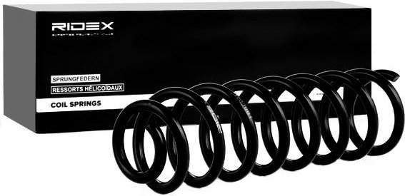 RIDEX Fahrwerksfeder Hinterachse 188C0040 Federn,Fahrwerksfedern RENAULT,MEGANE II Kombi (KM0/1_)