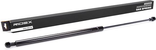 RIDEX Heckklappendämpfer hinten 219G0064 Kofferraum Dämpfer,Gasfeder Heckklappe BMW,3 Touring (E46)