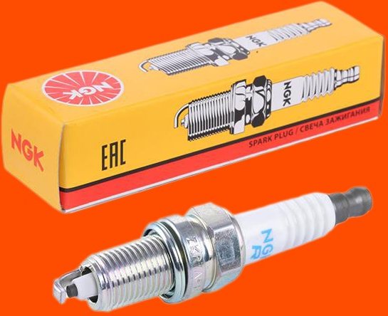 NGK Zündkerze 1691 Zündkerzen,Kerzen FORD,FIAT,ALFA ROMEO,KA (RU8),GRANDE PUNTO (199),PANDA (169),500 (312),PUNTO EVO (1...
